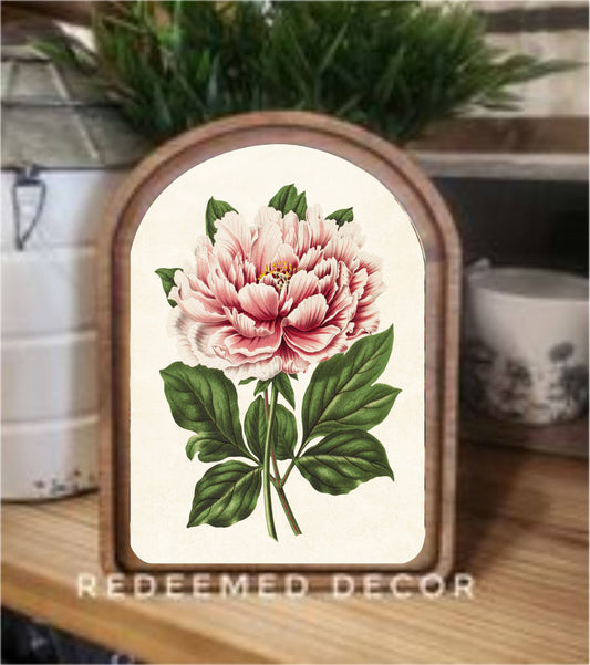 Arch Top Vintage Peony Framed Art