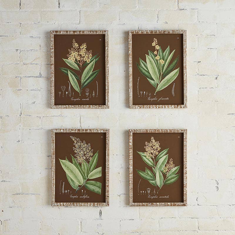 Botanical Framed Art  Neutral Farmhouse Decor