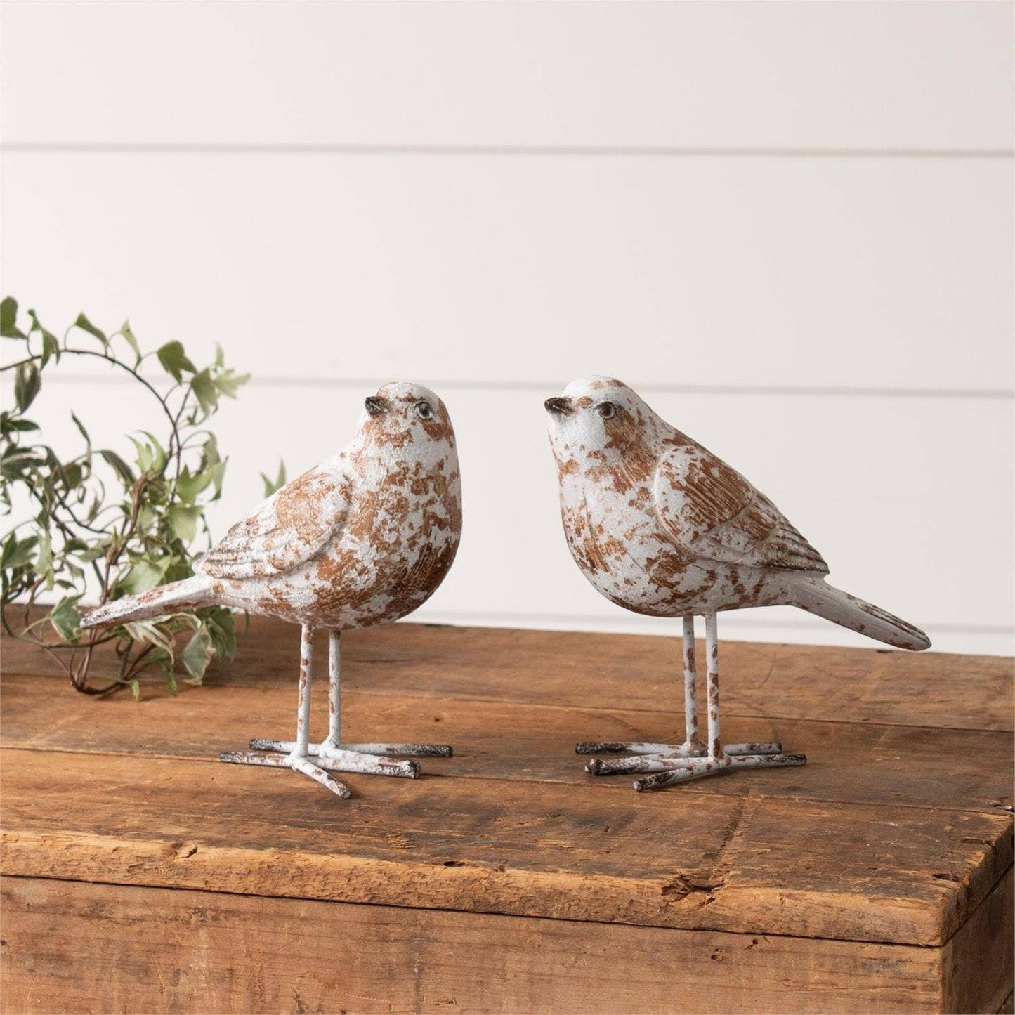 Weathered White Birds Rustic Farmhouse Modern Shabby Chic