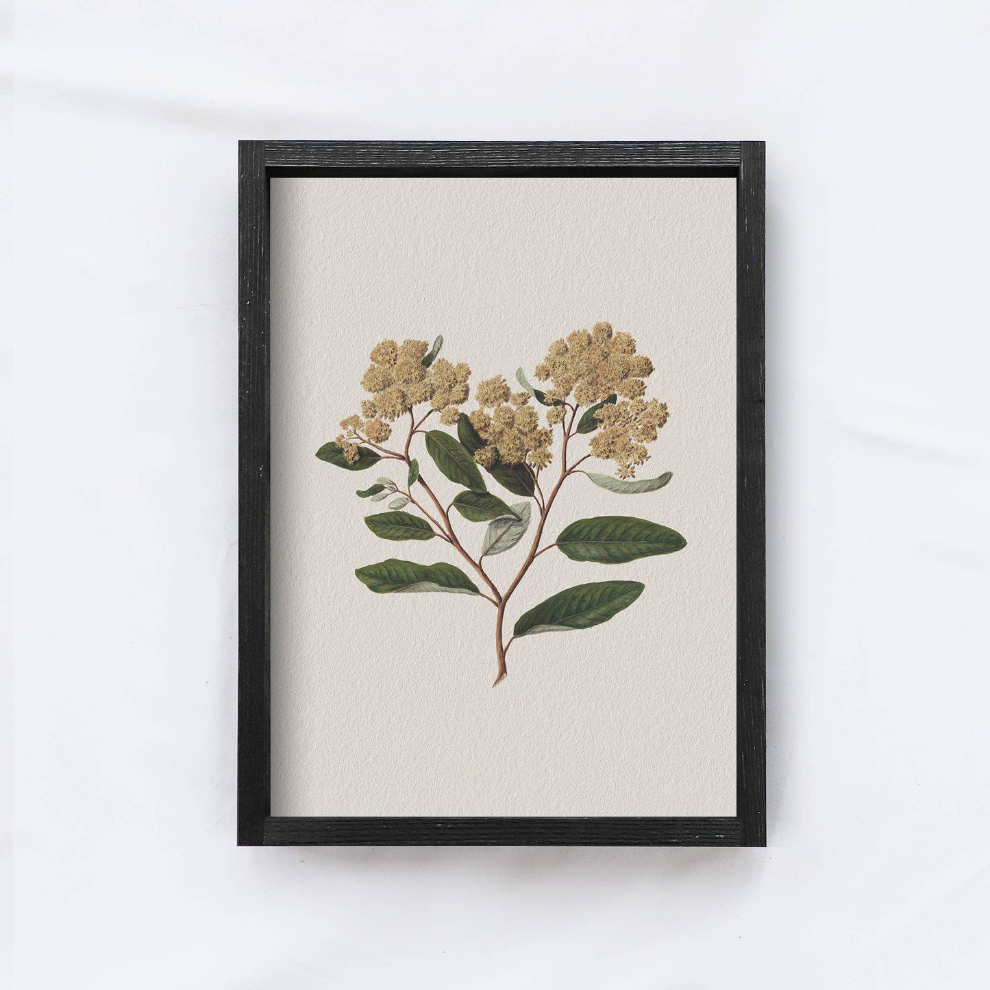 Vintage Flower Print Framed | Floral Botanical Art A105