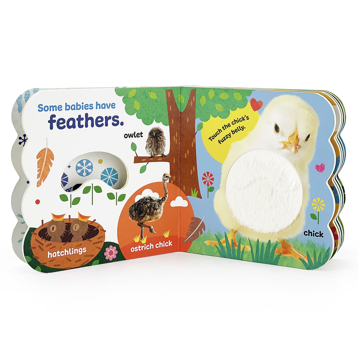 Baby Animals Touch & Feel Sensory Board Book