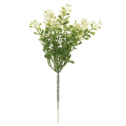 Cream Tipped Baby's Grass Pick - 9" Mini Stem