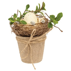 Nestled Egg in Pot Think Spring! Refresh!