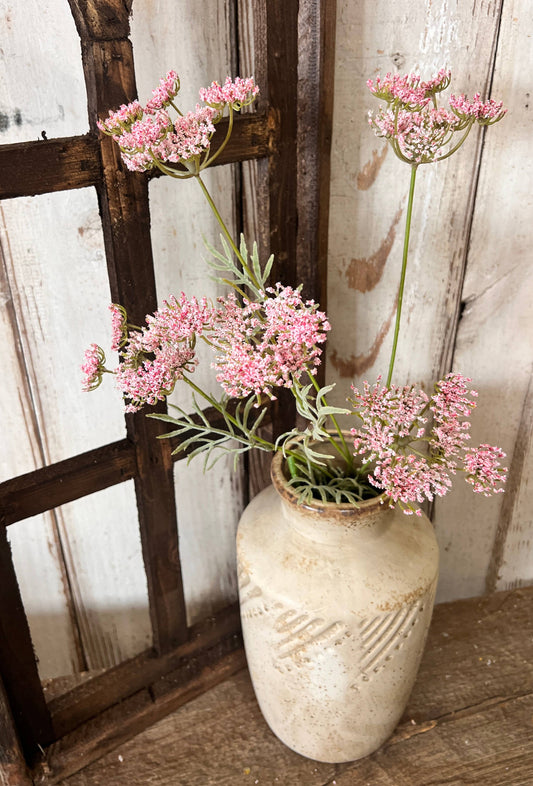 Pink Queen Anne's Lace