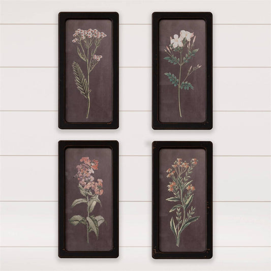 Framed Prints - Moody Floral Prints