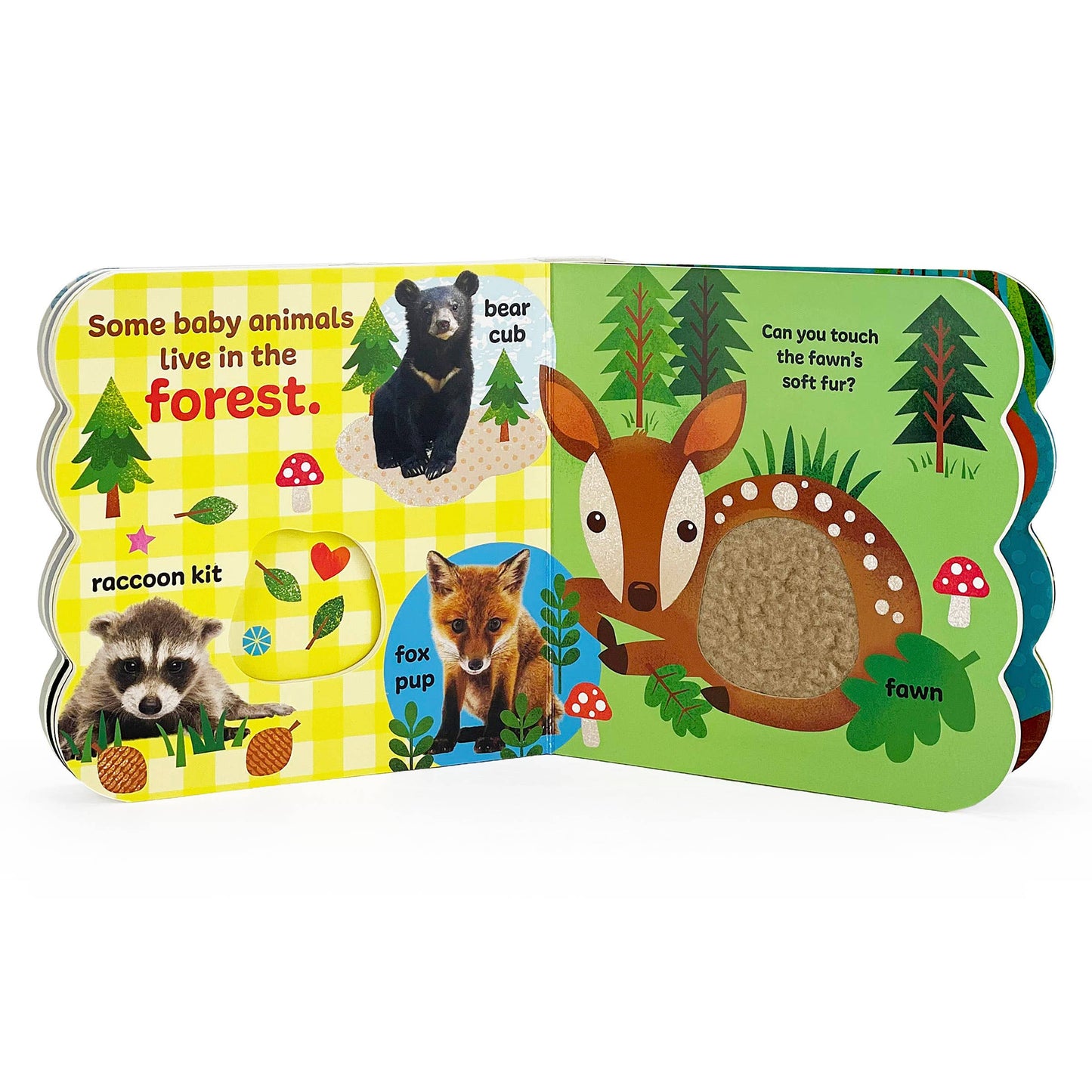 Baby Animals Touch & Feel Sensory Board Book