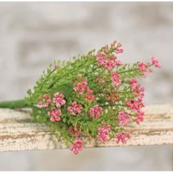 Pink Astilbe Bush, 10.5"